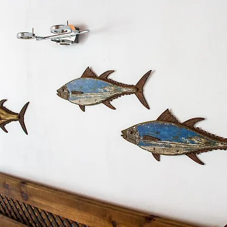 Caracolas Acogedor Espacioso Y Luminoso Cerca Del Mar プエルト・デル・カルメン