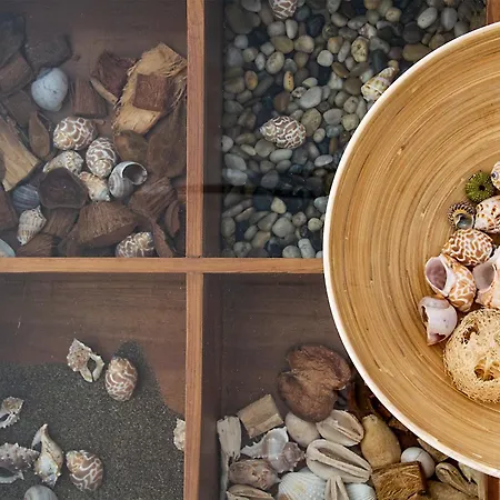 公寓 Caracolas Acogedor Espacioso Y Luminoso Cerca Del Mar